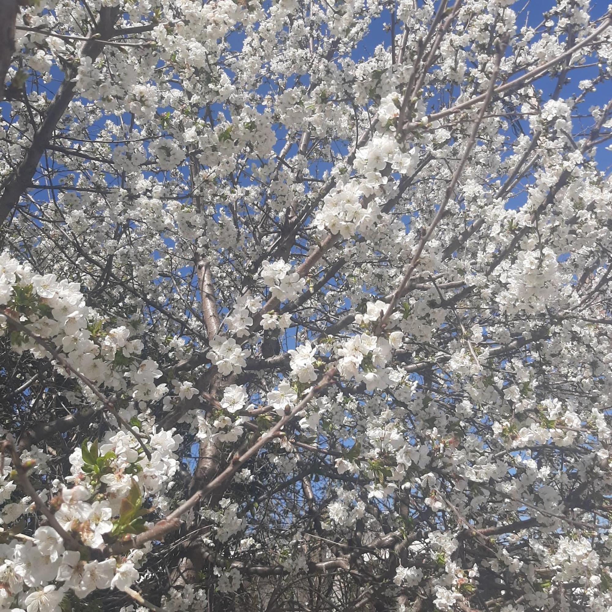 Вилла Αρχοντικό Παπανικολάου Ligaria  Экстерьер фото